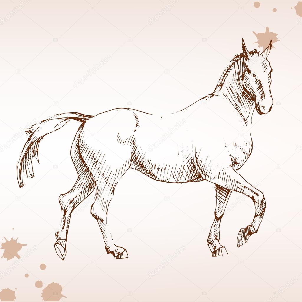 Horse  in competition, engraving. drawing horse