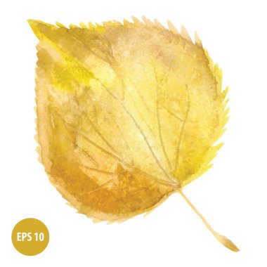 suluboya sonbahar yaprak