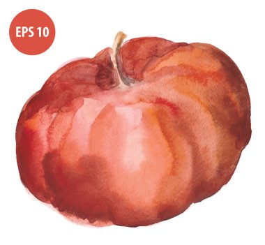 suluboya sonbahar kabak