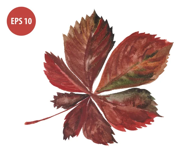 水彩画の秋の葉 — ストックベクタ