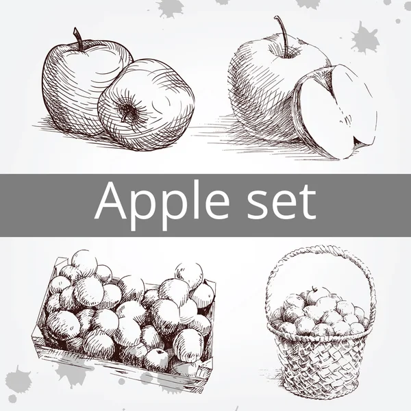 Äpple set, hand ritning — Stock vektor