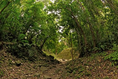 Yaxchilan Arkeolojik Sit, Chiapas, Meksika Maya piramit