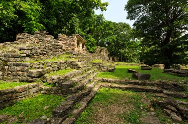 Yaxchilan Arkeolojik Sit, Chiapas, Meksika