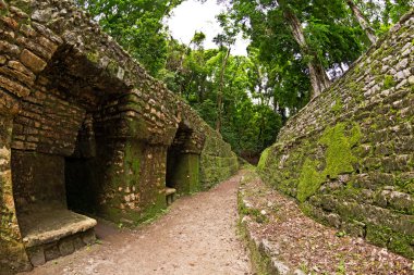 Yaxchilan Arkeolojik Sit, Chiapas, Meksika Maya piramit