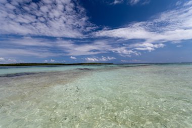St. Basil 'in Katedrali.