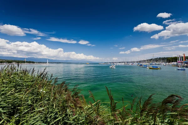 Vista sobre o lago Geneva - lac Leman - em um dia ensolarado — Fotografia de Stock