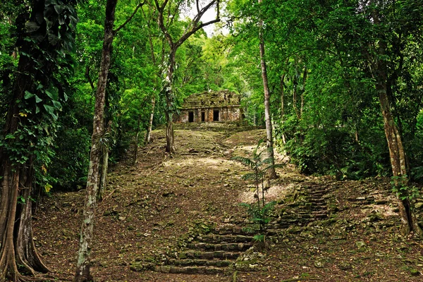 Yaxchilan archeological site, Chiapas, México —  Fotos de Stock