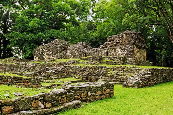 Yaxchilan археологічних розкопок, Чьяпас, Мексика — стокове фото