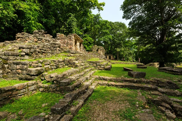 Yaxchilan sítio arqueológico, Chiapas, México — Fotografia de Stock