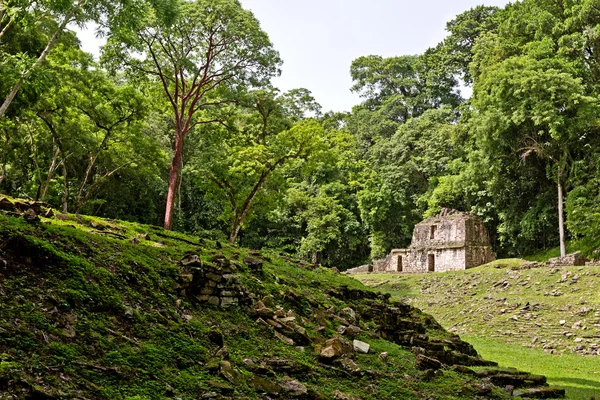 Sito archeologico di Yaxchilan, Chiapas, Messico — Foto Stock