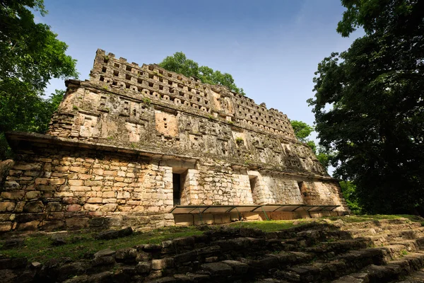 Верхній частині піраміди в Yaxchilan, Мексика — стокове фото