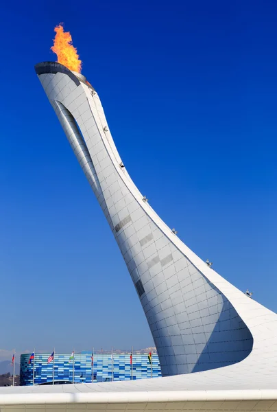 Sochi, Adler, Rusia - Februari 08, 2014: kebakaran Ol — Stok Foto