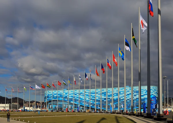 SOCHI, ADLER, RUSSIA - FEB 06, 2014: Iceberg kunstløpsplass på O – stockfoto