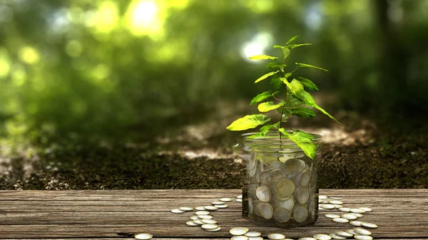 Plant growing from money jar. Concept of financial investment. — Stock Photo, Image