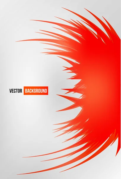 Vector chrysanthemum red flower vector card. — Stock Vector