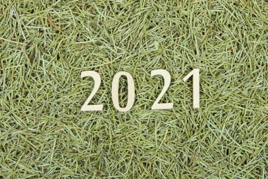 Yeni 2021 yılının eğeri Noel ağacı iğnelerinin üzerinde.