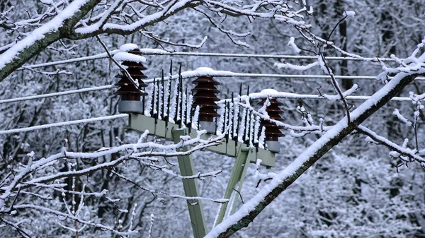 Frozen Insulators High Voltage Pole Forest — Stock Photo, Image