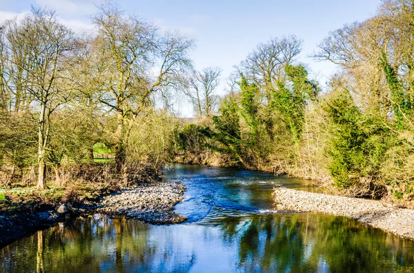 Folyó Kent a híd Levens, Cumbria, Angliában — Stock Fotó