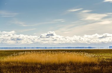 Morecam Bay, Cumbria, Ingiltere