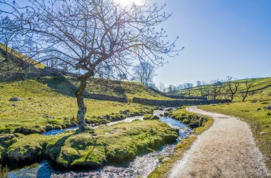 Malham Beck yanındaki patika ile.