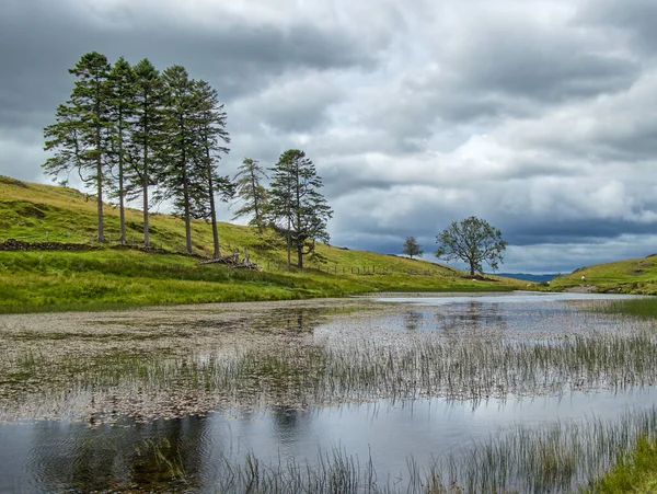 Une vue sur School Knot Tarn : un petit plan d'eau dans le district de English Lake Photo De Stock