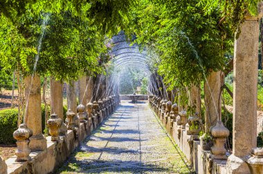 Jardines de Alfabia, Mallorca clipart
