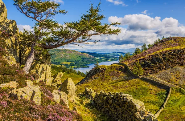 Ullswater озеро Англії краєвид — стокове фото