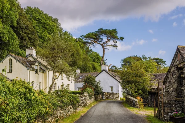 Country lane — Stockfoto