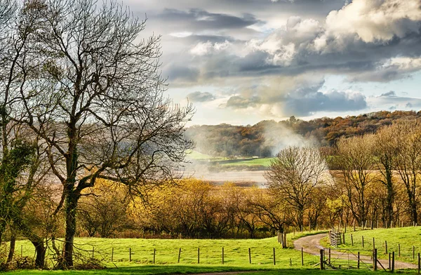 Campagna rurale vicino a Leighton Moss . — Foto Stock