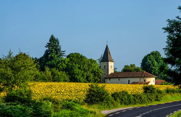 Campo de girassóis e igreja em França . — Fotografia de Stock