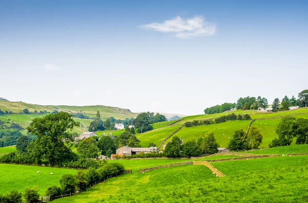 Soleado Inglés rural escena . — Foto de Stock