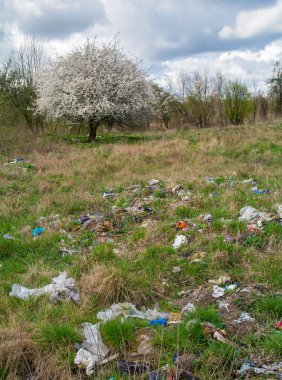 Düzenli depolama ve ağaç