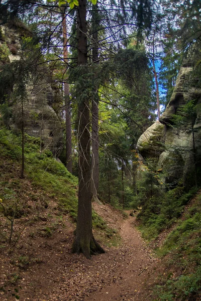 Góra — Zdjęcie stockowe