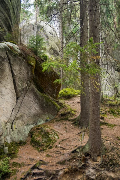 Berget — Stockfoto