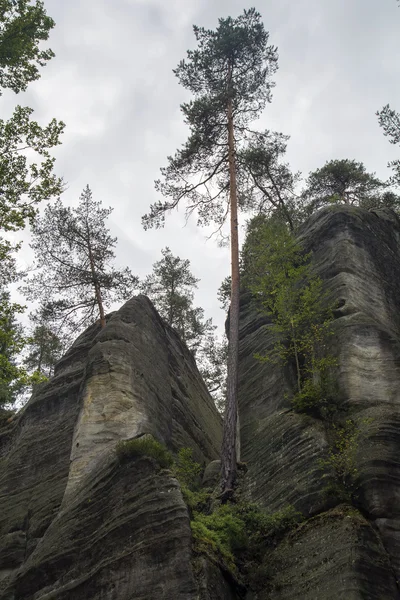 Góra — Zdjęcie stockowe