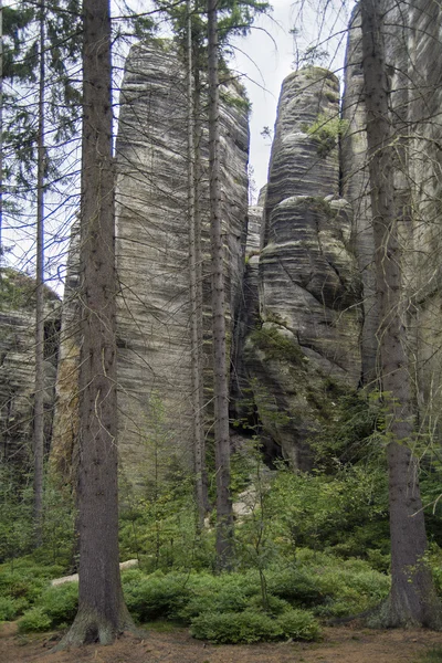 Berg — Stockfoto