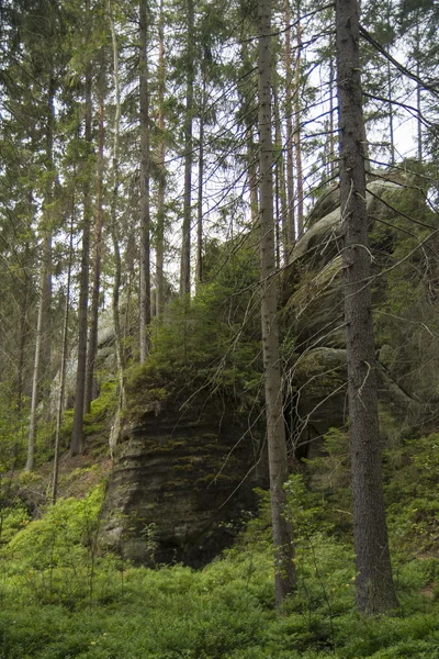 Berg — Stockfoto