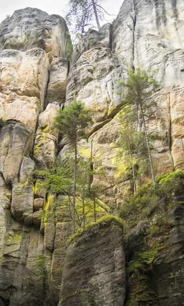 Montaña — Foto de Stock