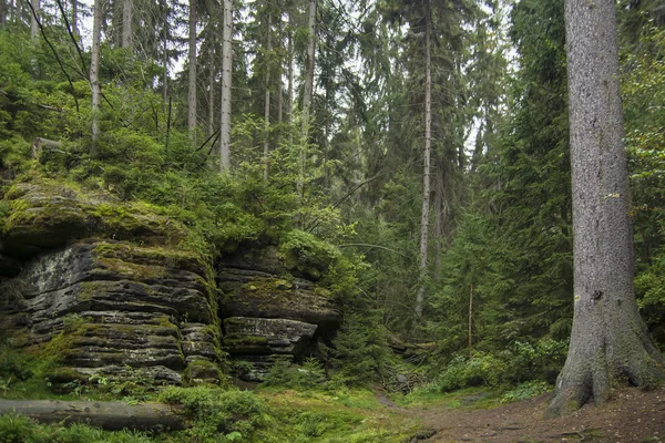 Berg — Stockfoto