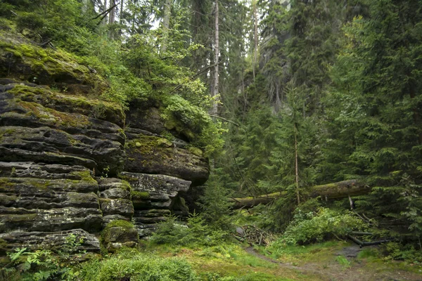 Mountain — Stock Photo, Image