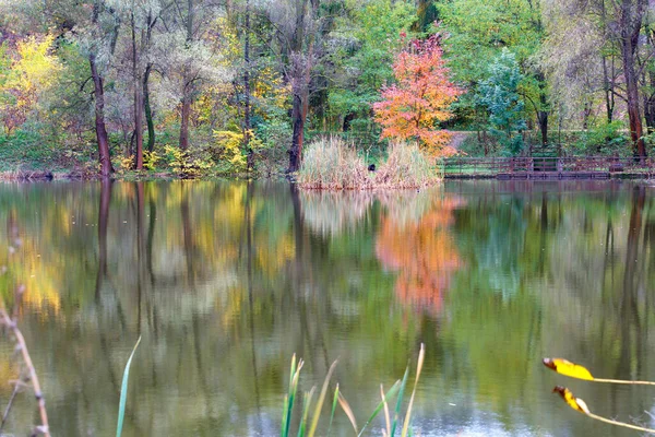 Hermoso Paisaje Otoñal Lago Forestal Con Reflejo Árboles Brillantes Superficie —  Fotos de Stock