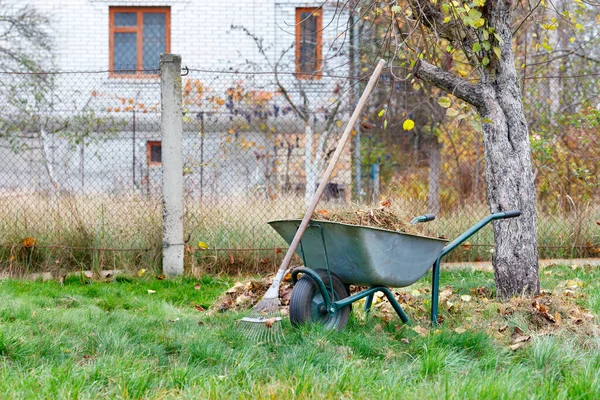 在秋天的花园维护一个绿色草坪 花园工具 一个带有金属耙的手推车 收集落叶和干燥的草地 在砖房的背景下模糊 复制空间 — 图库照片