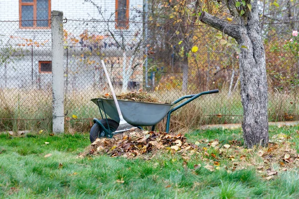 Ferramentas Jardim São Usadas Para Cuidar Gramado Carrinho Mão Com — Fotografia de Stock