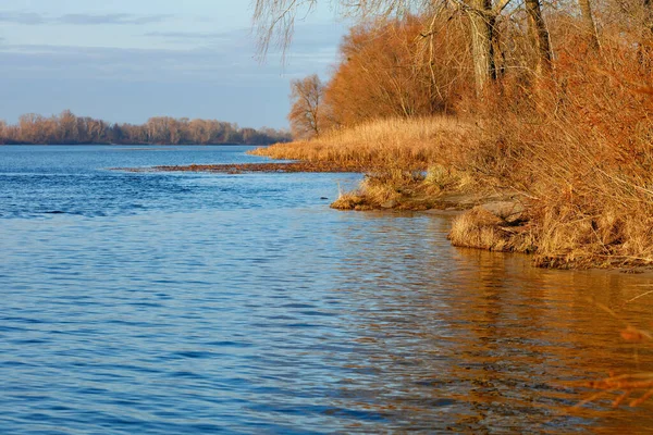 Das Ufer Des Flusses Dnipro Mit Kahlen Herbstbüschen Ohne Blätter — Stockfoto