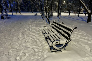 Şehir parkında bir kış akşamı mavi alacakaranlık ışığına karşı karda metal dekoratif korkuluklu boş bir ahşap bank..