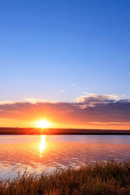 Nehrin üzerindeki altın gündoğumu nehrin dalgalı yüzeyine yansıyarak kıyı çimlerini aydınlatır. Dikey resim, kopyalama alanı, yakın plan.