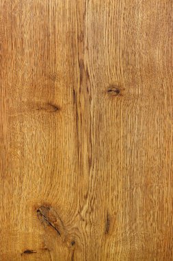 Güzel ve anlamlı bir meşe ağacı tanesi pürüzsüz ahşap bir yüzey şeklinde. Dikey resim.