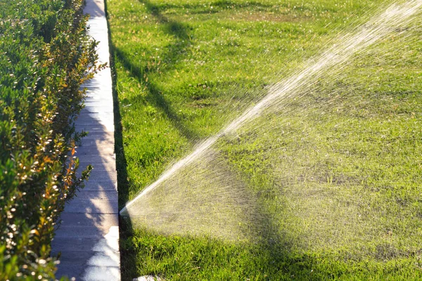 Automatic Irrigation System Sprinkles Lawn Wide Spray Water Backdrop Blurred — Stock Photo, Image