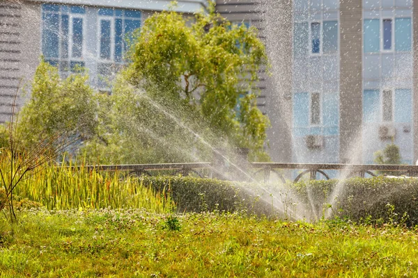 Garden Irrigation Sprinkler Irrigates Grass City Lawn Summer Heat Day — Stock Photo, Image