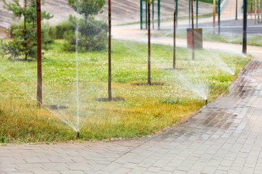 Yazın sıcağında, otomatik sulama sistemi yürüyüş yolu boyunca genç bahçedeki yeşil çimenleri sular. Seçici odak, boşluğu kopyala.